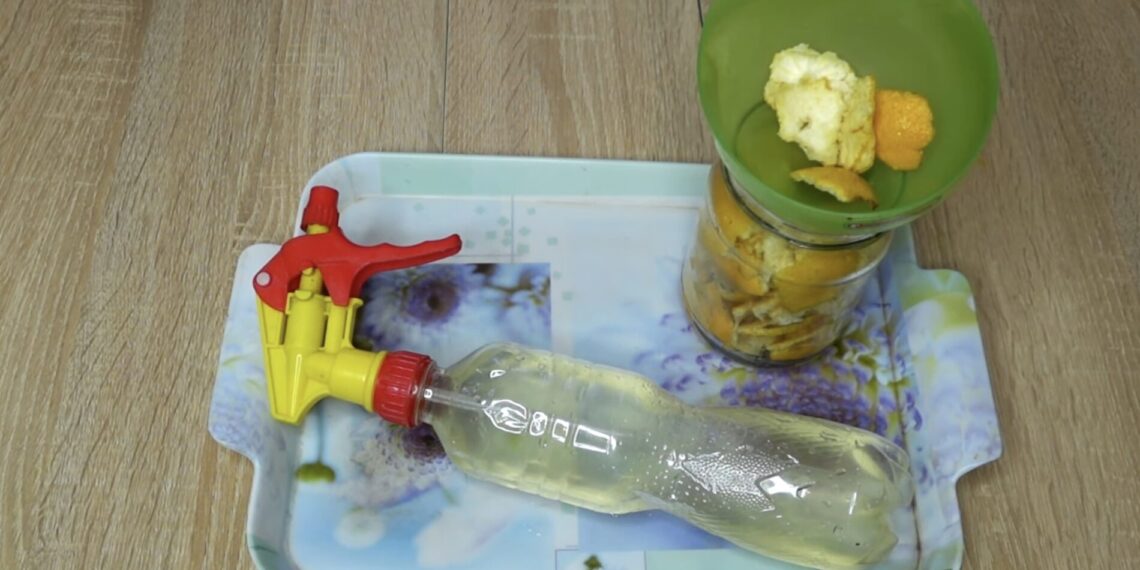 Neišmeskite citrinų žievelių: su actu jos virsta galinga valymo priemone