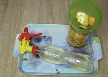 Neišmeskite citrinų žievelių: su actu jos virsta galinga valymo priemone