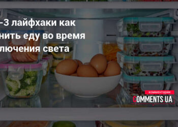Dingo elektra? 3 būdai, kaip išsaugoti maistą ir išvengti nuostolių