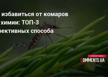 Pamirškite purškalus: šie 3 būdai uodus išvaikys greitai ir paprastai