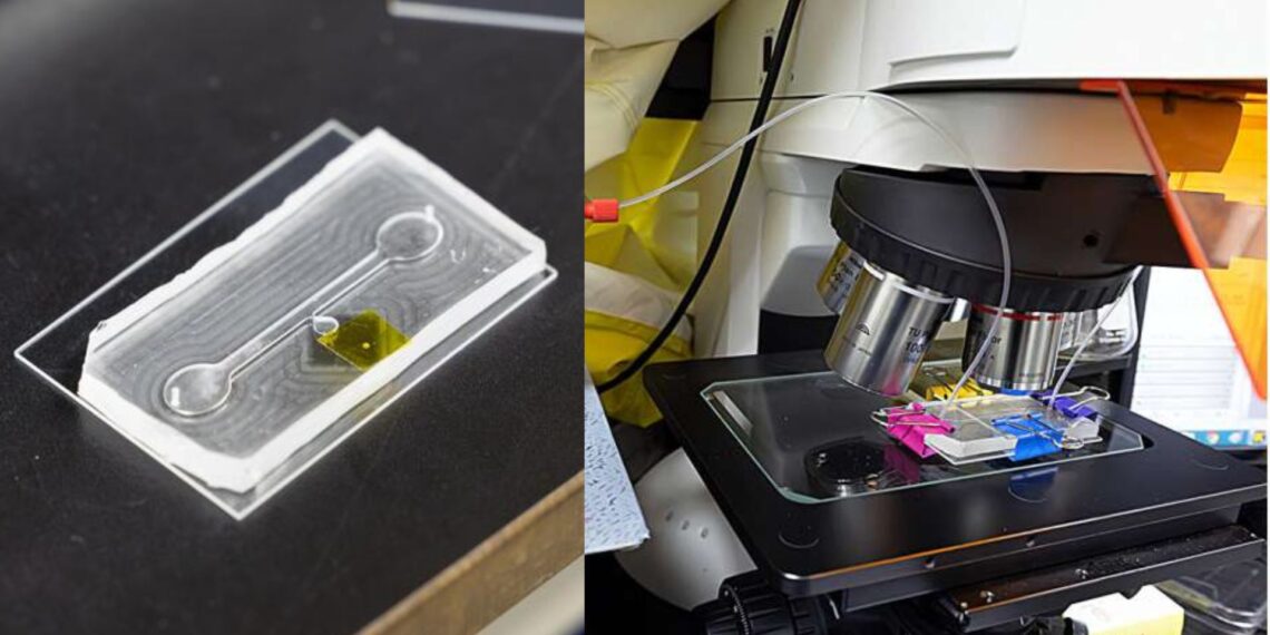 Mokslininkų atradimas: mikroschema per kelias minutes pašalina nuodingas medžiagas iš vandens