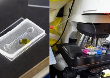 Mokslininkų atradimas: mikroschema per kelias minutes pašalina nuodingas medžiagas iš vandens