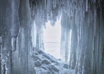 Senovinė bakterija gali tapti ginklu prieš antibiotikams atsparias infekcijas