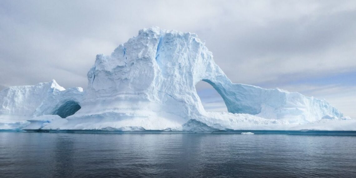 68 mln. metų senumo radinys Antarktidoje: kas paliko šį milžinišką kiaušinį?