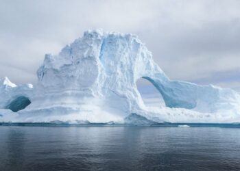 68 mln. metų senumo radinys Antarktidoje: kas paliko šį milžinišką kiaušinį?