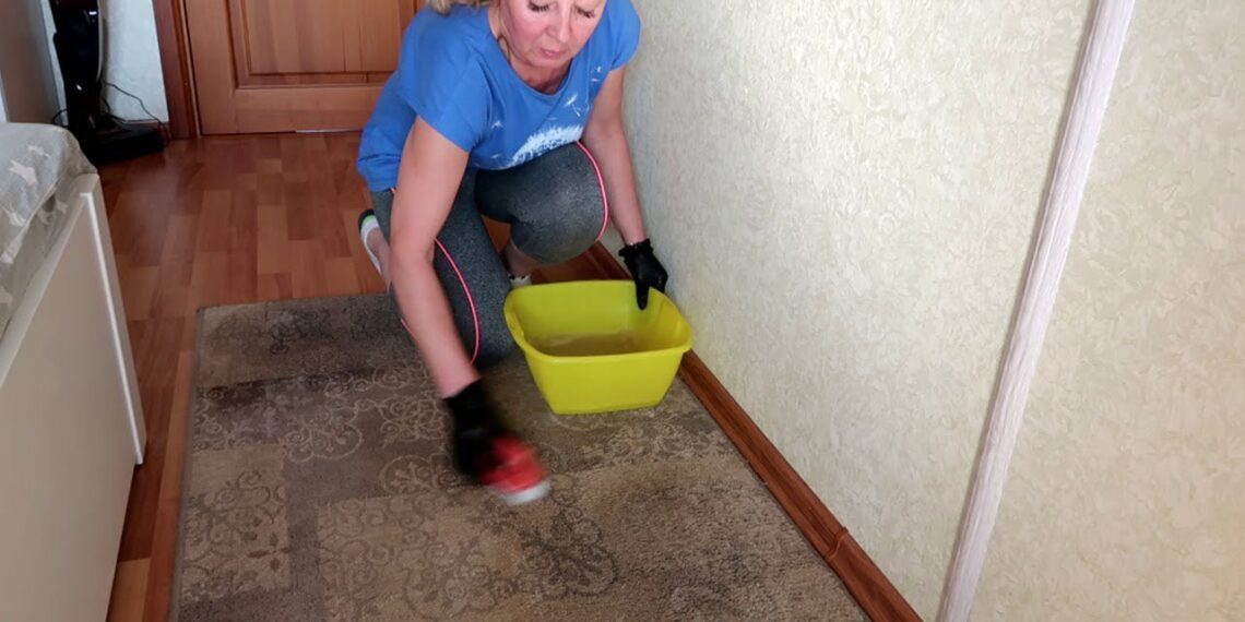 Kovojau su dulkėmis ir šunų plaukais, kol sužinojau turkišką kilimų valymo triuką