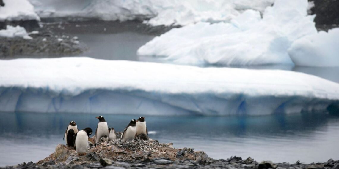 Antarktida tirpsta sparčiau nei manyta: mokslininkai perspėja apie pavojingas pasekmes