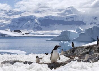 Antarktidoje užfiksuotas milžiniškas ledinis tiltas su tuneliu: mokslininkai įspėja apie galimą pavojų