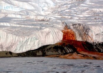 Antarktidoje vėl pasirodė „kruvinasis“ krioklys: paaiškėjo, kas iš tiesų teka iš ledo