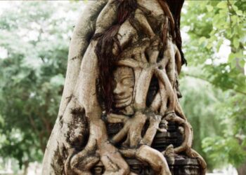 Ar gimimo data gali atskleisti ryšį su gimine? Štai ką apie tai sako įvairios teorijos