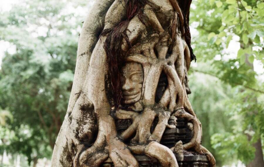 Ar gimimo data gali atskleisti ryšį su gimine? Štai ką apie tai sako įvairios teorijos