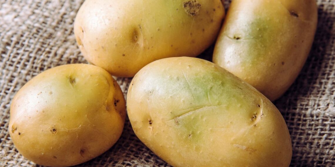 Daugelis daro klaidą: ar saugu valgyti pažaliavusias bulves?