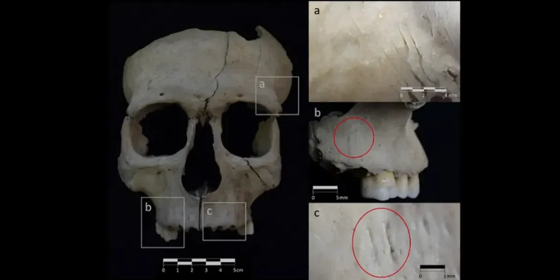 Archeologai liko be žado: senovės Ispanijoje galvų kapojimas vyko minios akivaizdoje