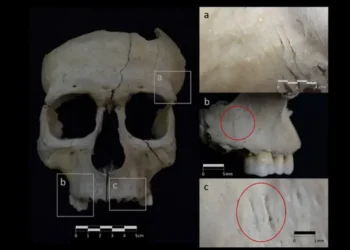 Archeologai liko be žado: senovės Ispanijoje galvų kapojimas vyko minios akivaizdoje