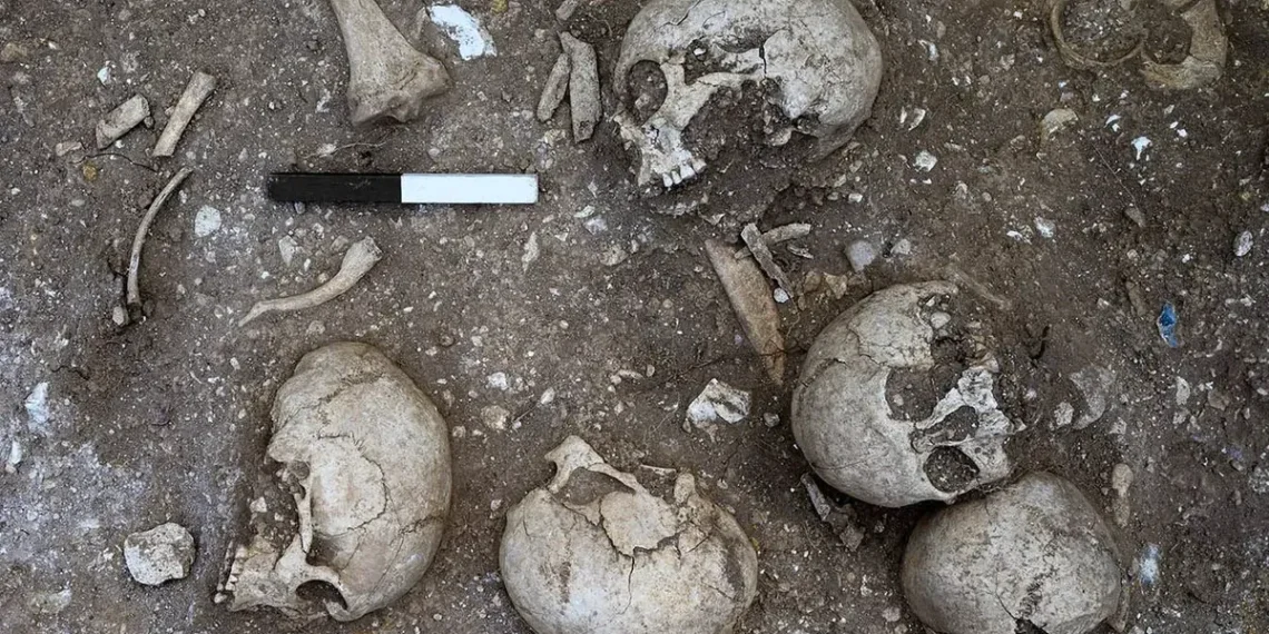 Archeologai aptiko „milžino“ skeletą: skylėta kaukolė atskleidė šiurpią tiesą