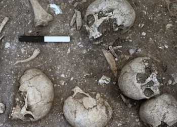 Archeologai aptiko „milžino“ skeletą: skylėta kaukolė atskleidė šiurpią tiesą