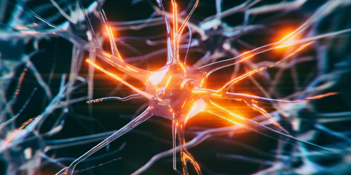 Naujas atradimas: kodėl dalis smegenų ląstelių išlieka atsparios demencijai?