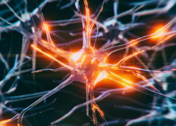 Naujas atradimas: kodėl dalis smegenų ląstelių išlieka atsparios demencijai?