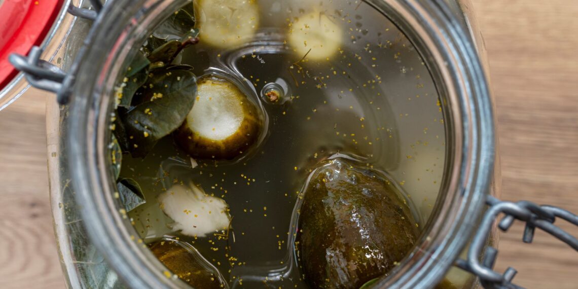 Baltas apnašas ant raugintų agurkų išgąsdino žmones: specialistai paaiškino, kas tai yra