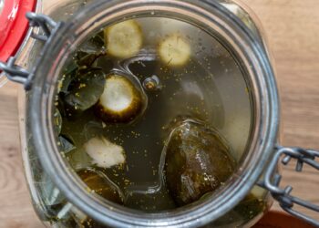 Baltas apnašas ant raugintų agurkų išgąsdino žmones: specialistai paaiškino, kas tai yra