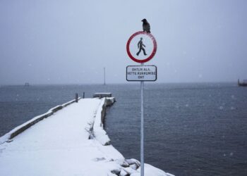 Baltijos jūra traukiasi akyse: vandens lygis nukrito iki rekordinių žemumų – to nebuvo 100 metų