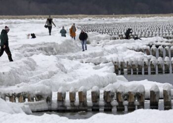 Rekordiškai žemas vandens lygis Baltijoje: mokslininkai perspėja apie rimtas pasekmes