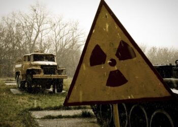 Černobylio šunys ir Fukušimos „superšernai“: kaip radiacija pakeitė laukinę gamtą