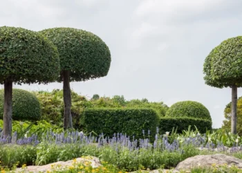 Dėl šio triuko sodininkai eina iš proto: štai kaip paversti paprastus krūmus meno kūriniais