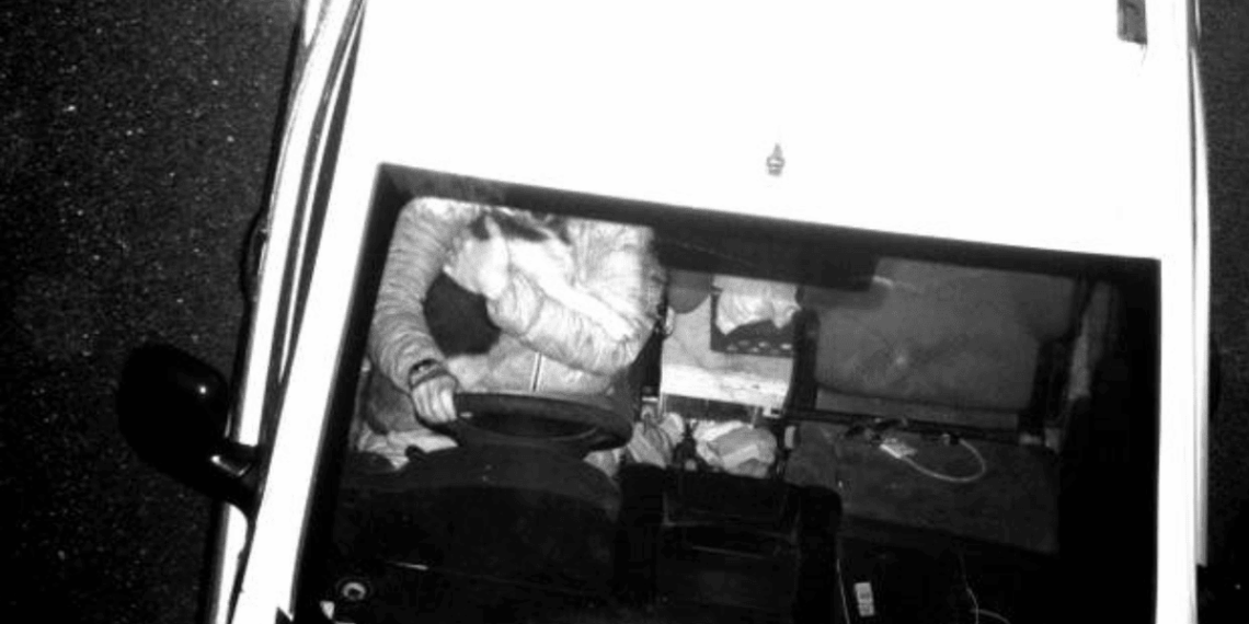 Didžiojoje Britanijoje dirbtinio intelekto kamera užfiksavo vairuotoją su šunimi prie vairo