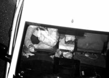 Didžiojoje Britanijoje dirbtinio intelekto kamera užfiksavo vairuotoją su šunimi prie vairo