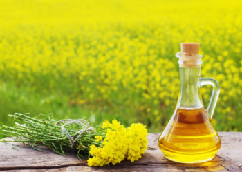 Dietologė atskleidė: rapsų aliejus gali padėti slopinti uždegimus greičiau nei manėme