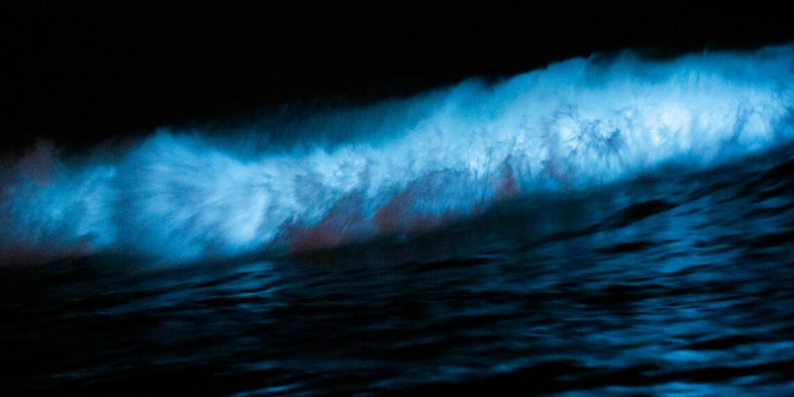 „El Nino“ gali sugrįžti 2026-aisiais: mokslininkai perspėja apie ekstremalius orus