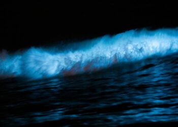 „El Nino“ gali sugrįžti 2026-aisiais: mokslininkai perspėja apie ekstremalius orus