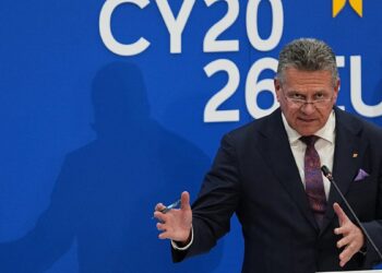 ES imasi beprecedenčių veiksmų prieš PPO taisykles: ar tai smūgis Kinijos prekybai?