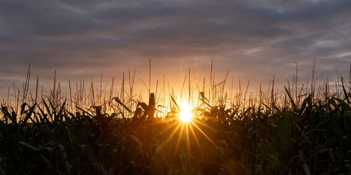 Klimato lūžio taškas? ES piešia niūrų Europos ateities scenarijų