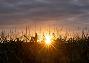 Klimato lūžio taškas? ES piešia niūrų Europos ateities scenarijų