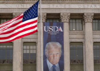 Apklausa nustebino: JAV Europoje vis dažniau laikoma nepatikima