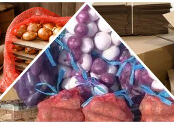 Neišmeskite svogūnų tinklelio: jis gali prailginti daržovių galiojimą