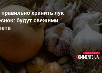 Pamirškite supuvusius svogūnus: šis laikymo būdas gali viską pakeisti