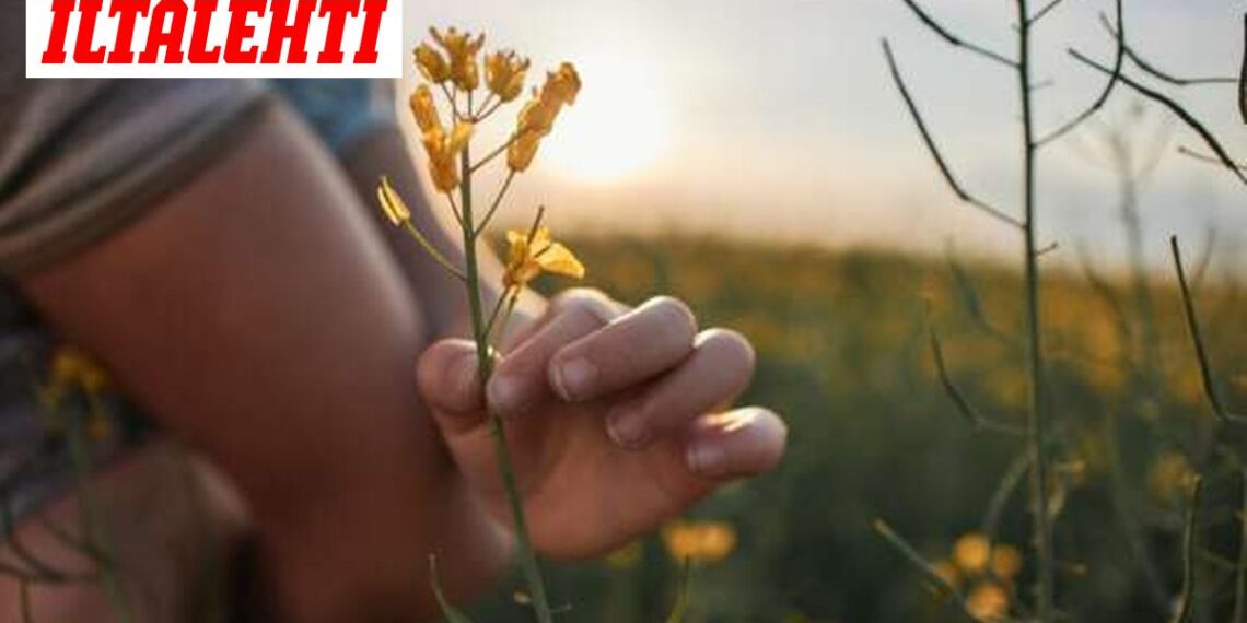 Gydytojai nustėro: ši natūrali medžiaga padeda reikšmingai sumažinti „blogąjį“ cholesterolį