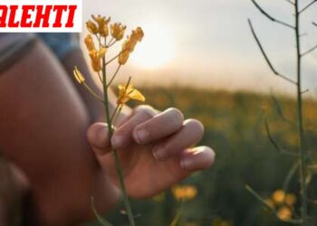 Gydytojai nustėro: ši natūrali medžiaga padeda reikšmingai sumažinti „blogąjį“ cholesterolį