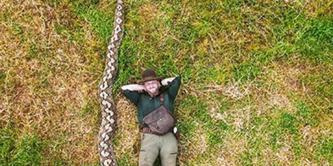 Siaubas kaime: Indonezijoje aptiktas pitonas, galintis praryti net karvę