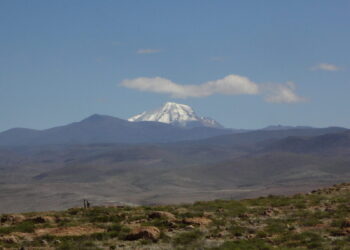 Nauji tyrimai apie inkus šokiruoja: vaikų aukojimo apeigos buvo dar žiauresnės nei manyta