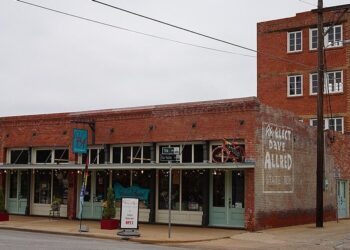 Teksase pastatytas „mažiausias pasaulyje dangoraižis“: investuotojai pasijuto apgauti