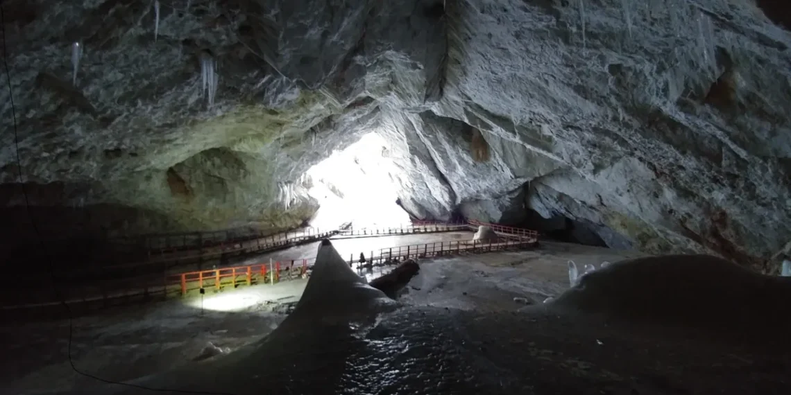 Senovinė bakterija iš ledynų gali padėti kovoti su atspariomis infekcijomis