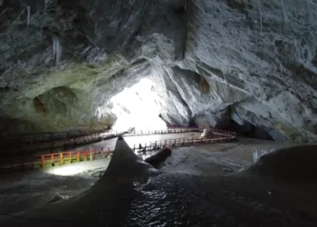 Senovinė bakterija iš ledynų gali padėti kovoti su atspariomis infekcijomis