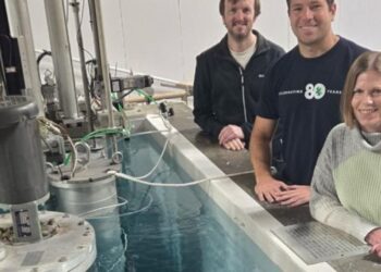 JAV mokslininkai pristatė itin karštą branduolinį reaktorių: žadama energetikos revoliucija