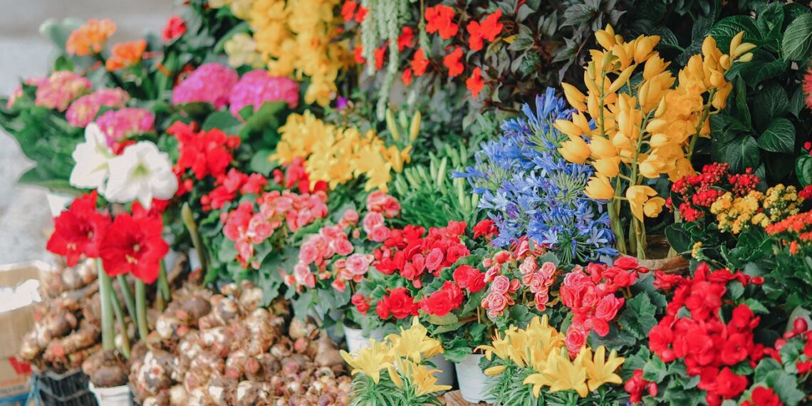 Kai kitos gėlės nuvysta, šios dvi vis dar žydi: nustebins net patyrusius sodininkus