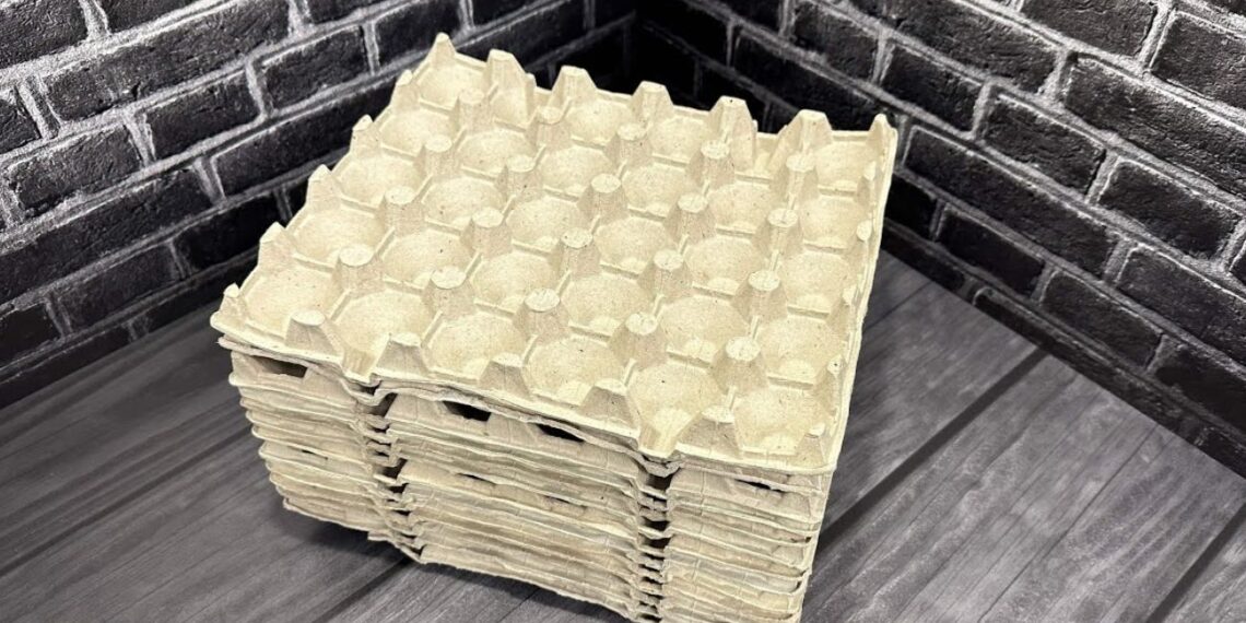 Kaimynė parodė, ką daro su kiaušinių dėklais – rezultatas pribloškė visus