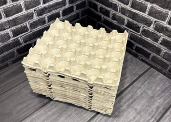 Kaimynė parodė, ką daro su kiaušinių dėklais – rezultatas pribloškė visus